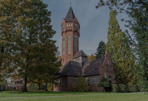 Bild des Wasserturms. Zwischen alten hohen Laubbäumen ist der Wasserturm aus Backstein zu sehen.